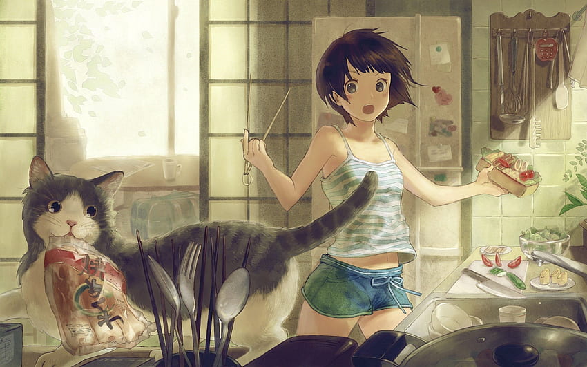 Anime, gato, niña, habitación fondo de pantalla