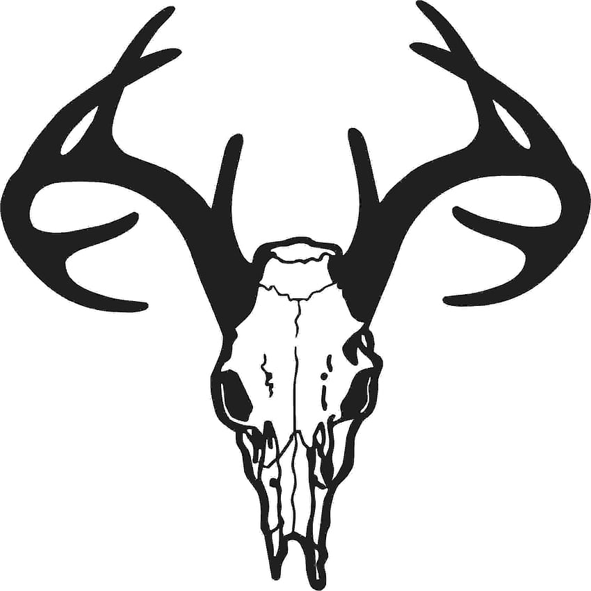 Deer Skull Drawing Clipart - Deer Skull Vector Png - HD phone wallpaper
