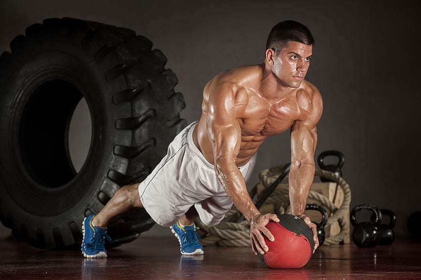 Homem Músculo Exercício físico esportes Musculação, Tríceps papel de parede HD