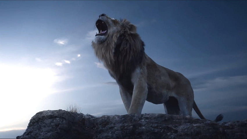 König der Löwen Brüllen, König der Löwen Ultra HD-Hintergrundbild
