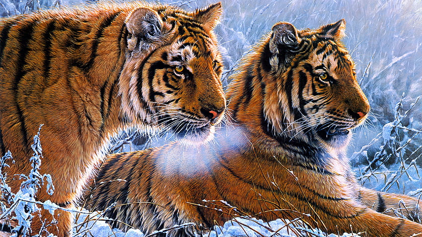 Тигри, зима, фрумусете, тигър, изкуство, голяма котка, великолепно, превъзходно, pisici, , pictura, iarna, сняг, тигру, двойка HD тапет
