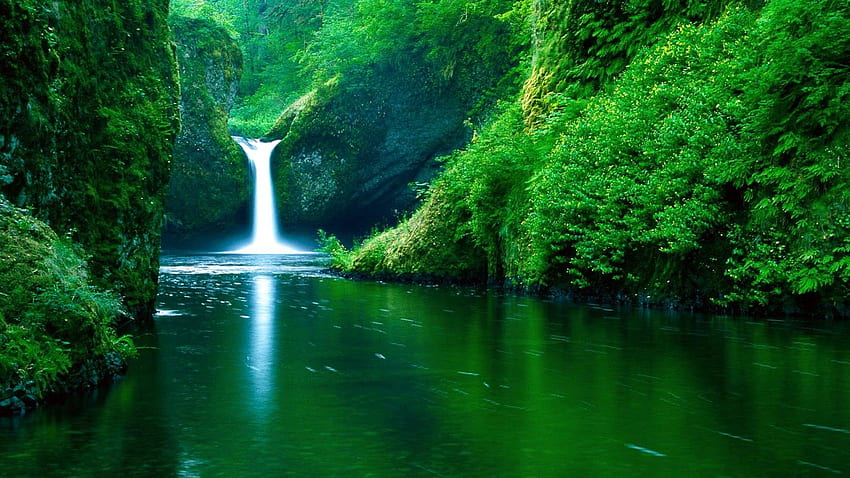 Die 10 grünen Farben der Natur – gut für Ihre Augen, augenberuhigend HD-Hintergrundbild