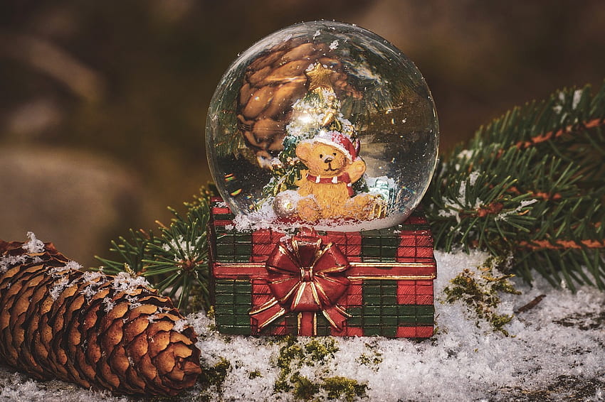 Christmas Snow Globe, Christmas Snow Globes HD wallpaper | Pxfuel