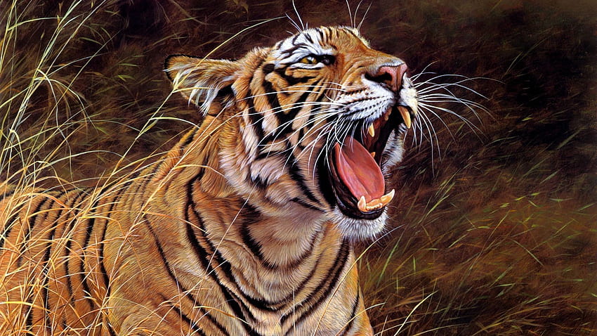 Animali, sorriso, strisce, gatto grande, tigre, rabbia Sfondo HD