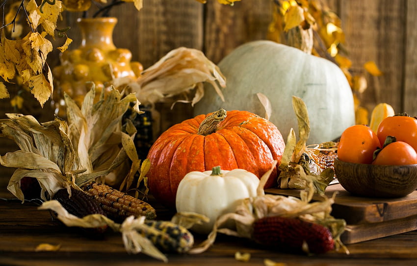 autumn, table, corn, harvest, pumpkin, persimmon for , section еда, November Harvest HD wallpaper