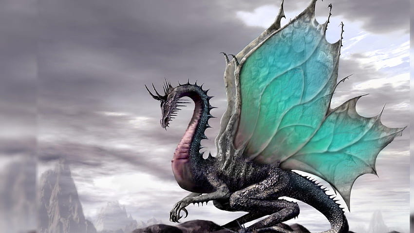 Top 50 Dragon , , Background, Cool Glowing Dragon HD wallpaper
