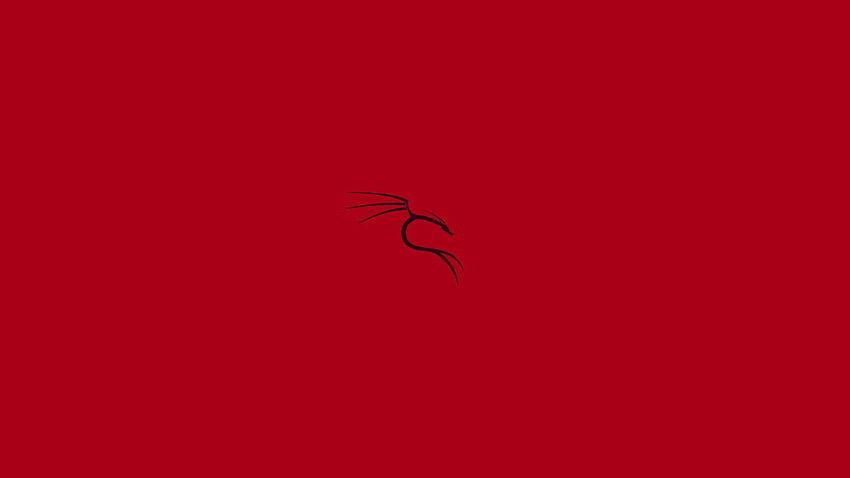 Kali, Kali Linux, Linux, Merah, Logo / dan Latar Belakang Seluler Wallpaper HD