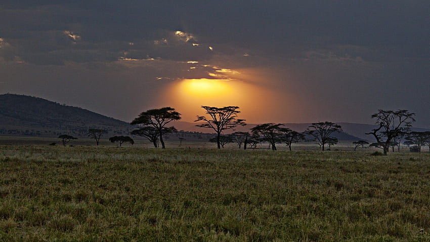 Africa Kenya savannah sunset sky clouds trees . . 45996, African Sunrise HD wallpaper