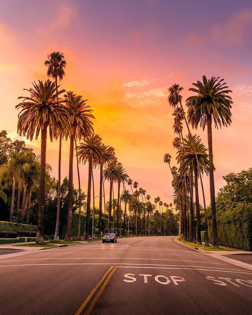 Serge Ramelli sur Instagram : « J'aime Los Angeles, c'est une rue de Beverly Hills, j'étais là. Hôtel Beverly Hills, Los Angeles, ambiance californienne Fond d'écran de téléphone HD