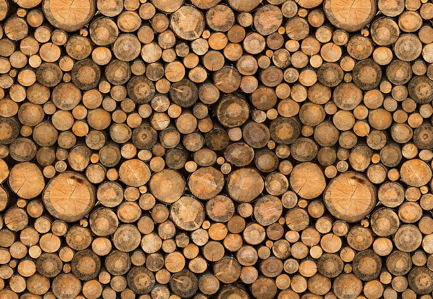 Texture, brown, wood, lemne, butuci HD wallpaper