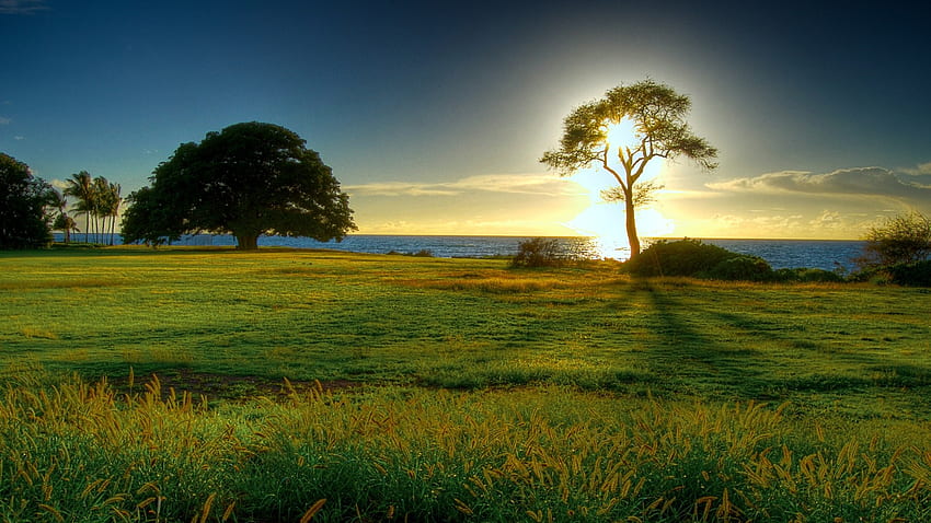 Grasslands sunrise HD wallpaper
