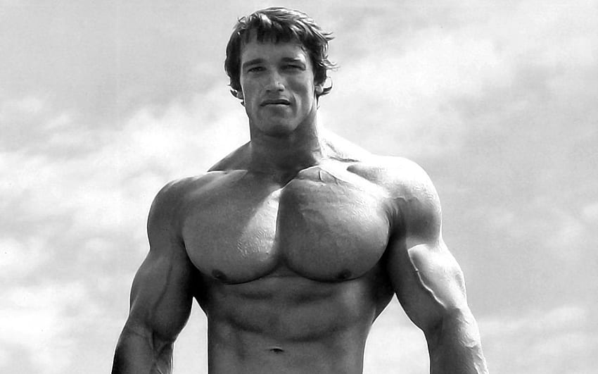 Arnold Musculation, Arnold Schwarzenegger Fond d'écran HD
