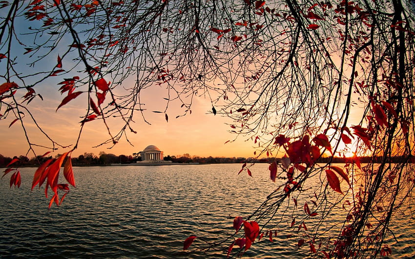 Jefferson-Denkmal über dem Gezeitenbecken, Becken, Denkmal, Herbst, Sonnenuntergang, Baum HD-Hintergrundbild