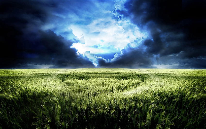 Natura, niebo, światło, pole, ponury, otwarcie, zła pogoda Tapeta HD