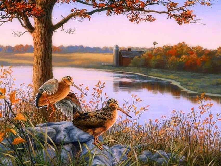 Autumn View, pájaros, atracciones en sueños, colores, pinturas, amor cuatro estaciones, lagos, campos, granjas, otoño, naturaleza, temporada de otoño fondo de pantalla