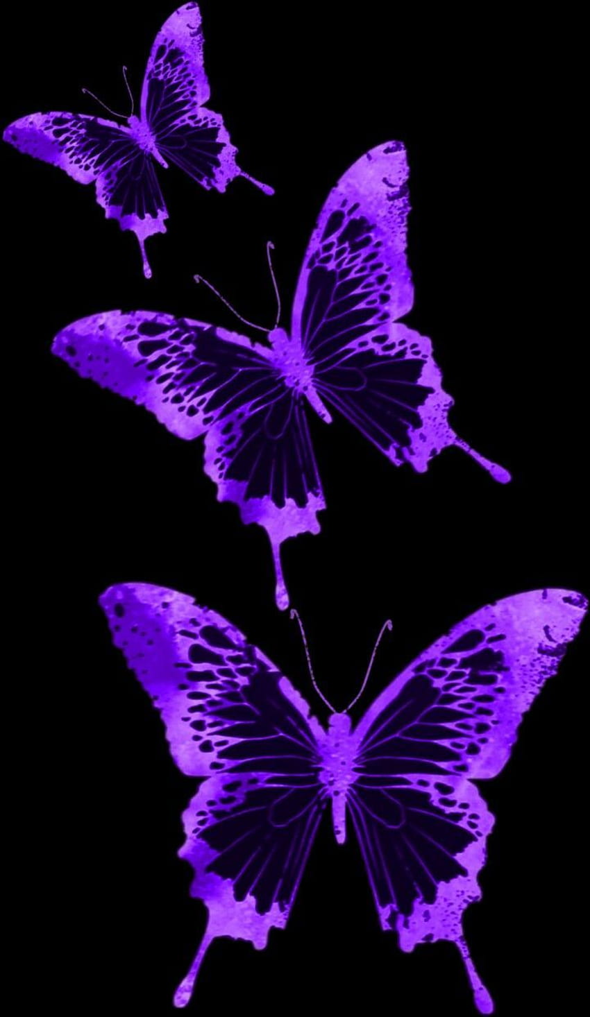 Farfalle estetiche viola, farfalle nere e viola Sfondo del telefono HD