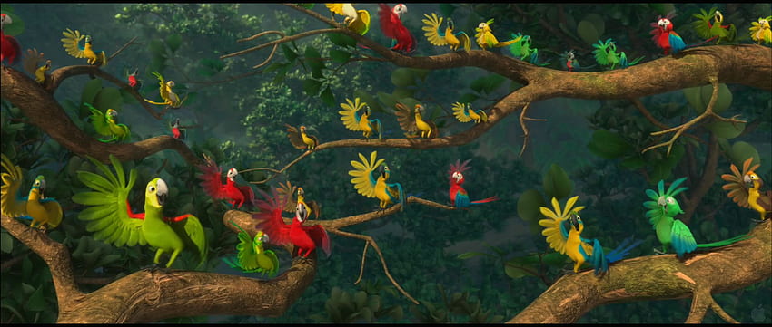 Parrots from Rio , Rio Birds HD wallpaper | Pxfuel