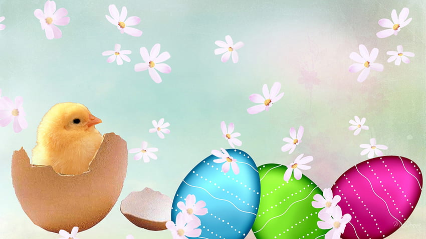 Spring Chick, firefox persona, อีสเตอร์, ดอกไม้, ฤดูใบไม้ผลิ, ไข่ วอลล์เปเปอร์ HD