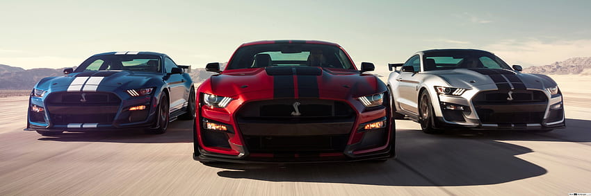 Ford Mustang Shelby GT500, Mustang Dual Monitor HD wallpaper