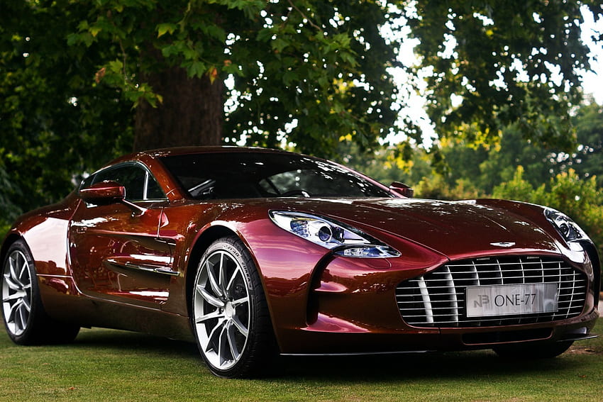 Aston Martin, grass, car, wheel, red HD wallpaper