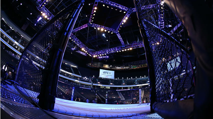 UFC 230: Radar Altında - Sijara Eubanks, UFC Cage HD duvar kağıdı