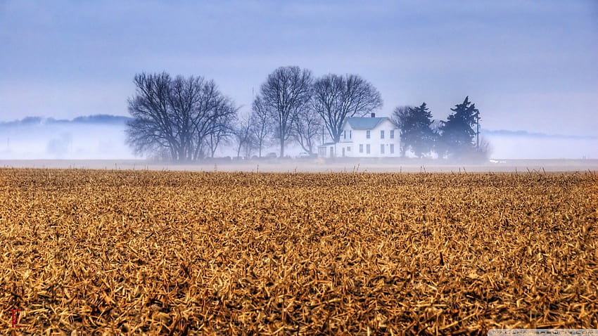 kansas bauernhaus im nebel, nebel, feld, haus, bäume, bauernhof HD-Hintergrundbild