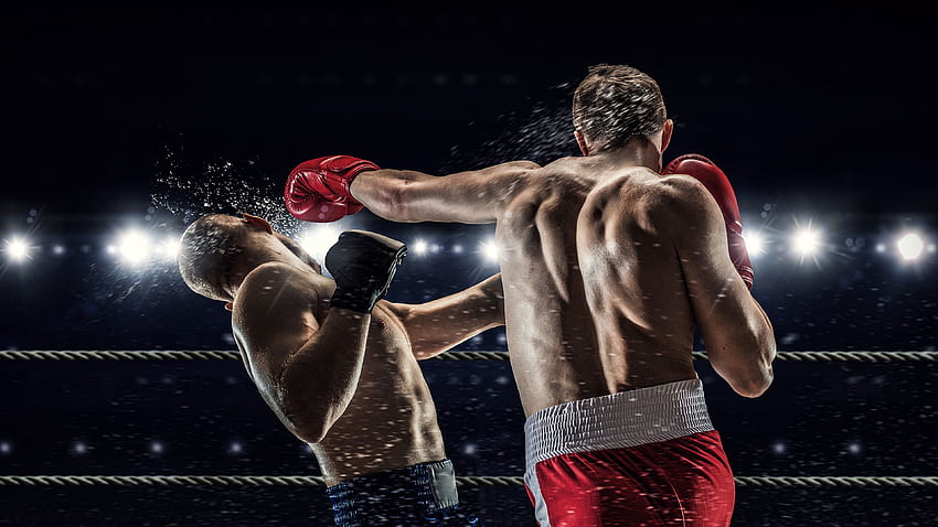Hommes pour battre le dos humain Two Sport Boxing, Cool Boxing Fond d'écran HD