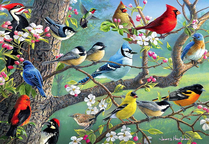 Birds in an Orchard, bluebird, cardinals, chickadees, painting, blossoms, goldfinch, spring HD wallpaper