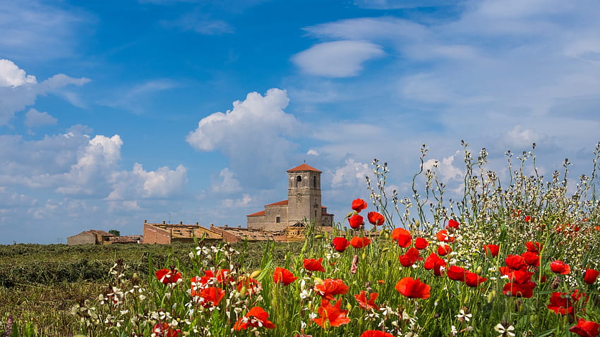 Provincia de Palencia, Castilla y Leon, İspanya, gelincikler, eski, Çayır, çiçekler, bulutlar, bina, gökyüzü, çiçekler HD duvar kağıdı