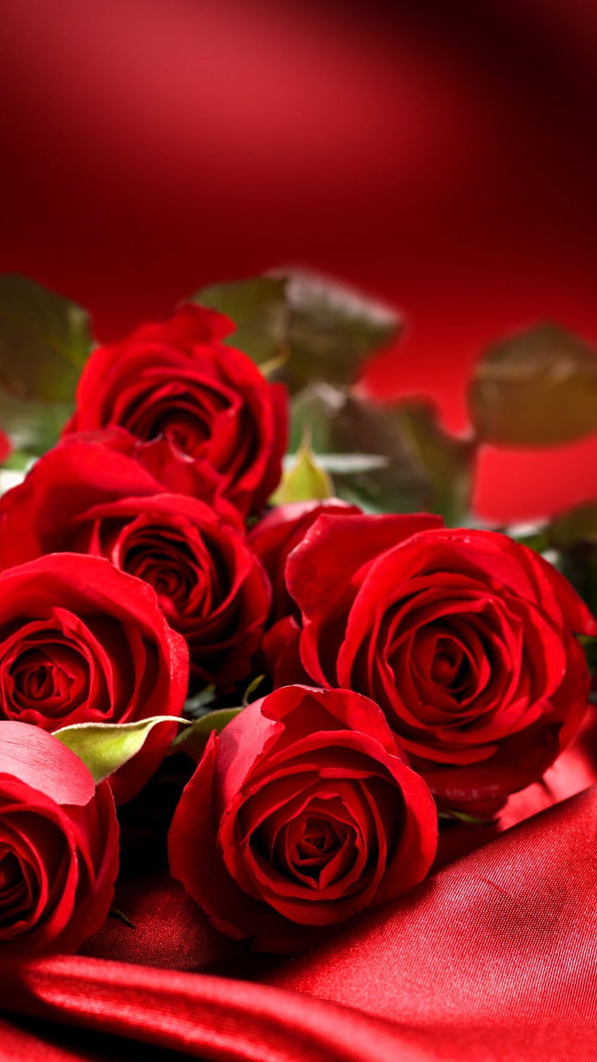 Romantic Bouquet Live Wallpaper - free download