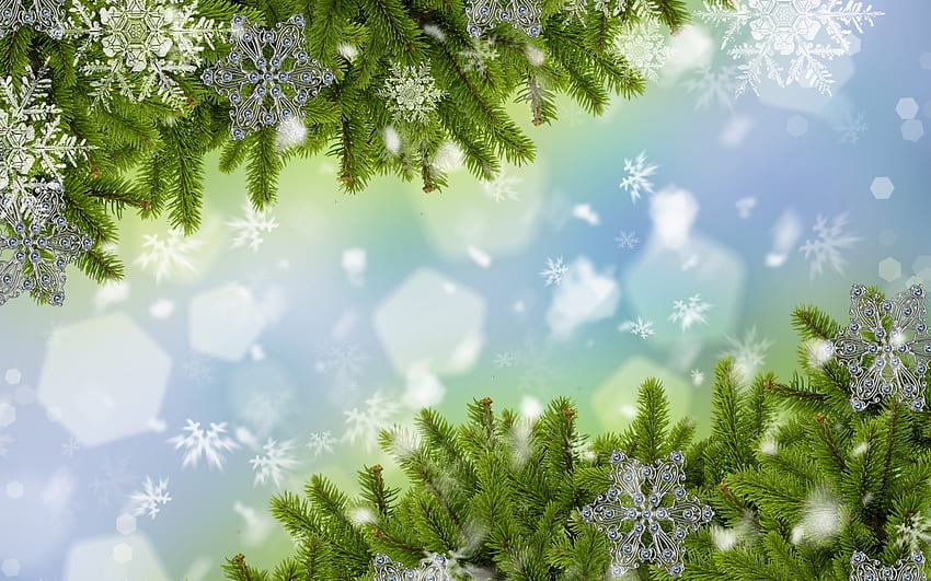 Holidays, New Year, Fir-Trees, Snowflakes HD wallpaper