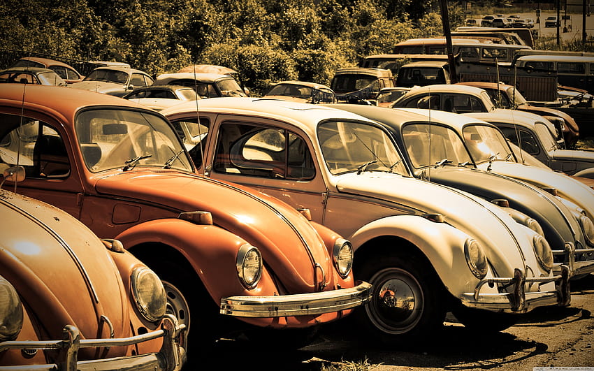 Old Volkswagen Beetle Junkyard ❤, Vw Bug HD wallpaper