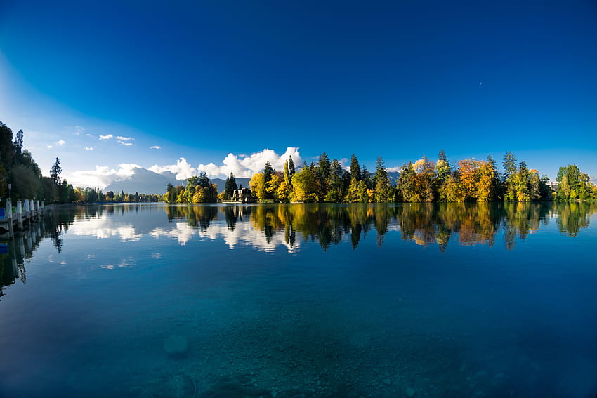River Aare, Switzerland, Autumn, Trees, River, Water HD wallpaper