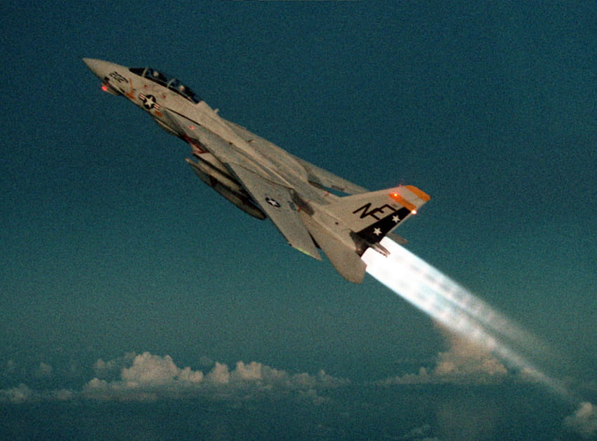 Militer - Grumman F-14 Tomcat Wallpaper HD