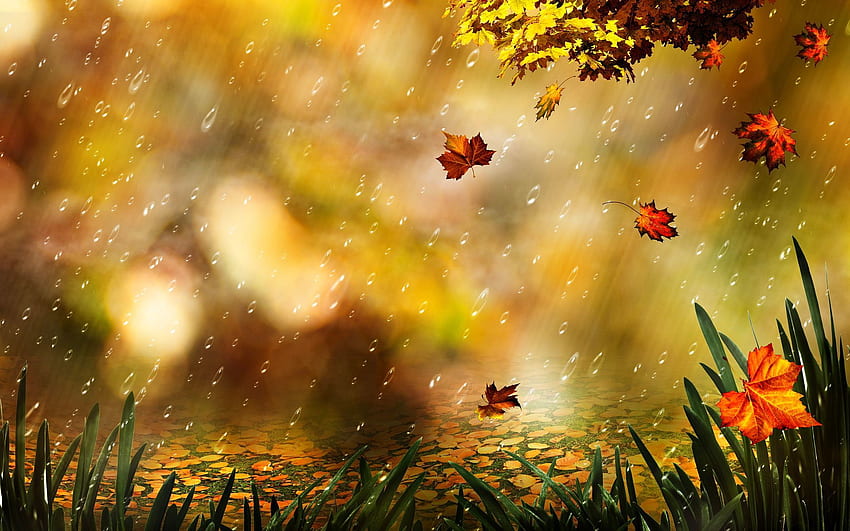 추상 비오는 가을 비. 편안함과 진정 HD 월페이퍼