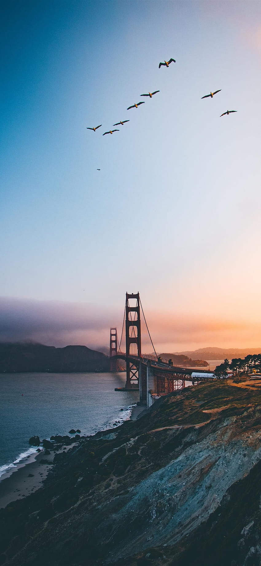 Golden Gate Bridge United States iPhone 11 HD phone wallpaper
