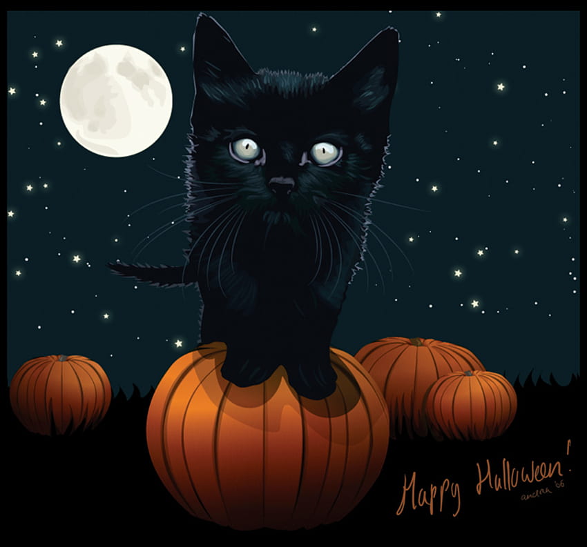 Buon Halloween!, zucche, gatto nero, halloween, luna piena Sfondo HD