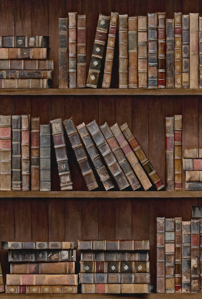 Book Shelves in Brown and Multi from the Eclectic Collection by Mind the Gap. Brown aesthetic, Hogwarts aesthetic, Book, Antique Book Shelf HD phone wallpaper