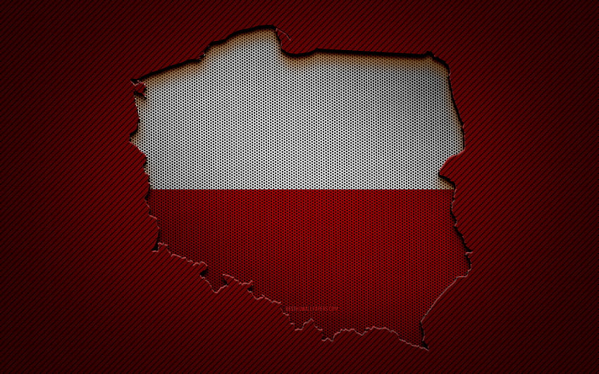 Карта на Полша, европейски държави, полско знаме, червен въглероден фон, силует на карта на Полша, флаг на Полша, Европа, карта на Полша, Полша, флаг на Полша HD тапет