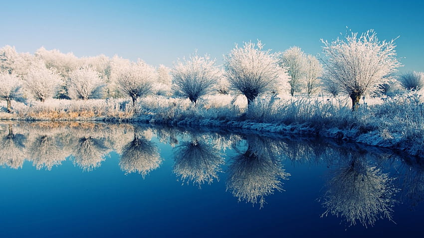 สะท้อนในฤดูหนาว ฤดูหนาว แดดจัด น้ำค้างแข็ง สะท้อน ต้นไม้ น้ำ วอลล์เปเปอร์ HD