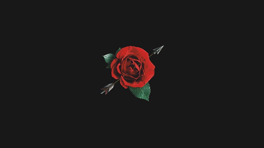 Ciemna estetyczna róża Blurry Rose [] na telefon komórkowy i tablet. Poznaj estetykę czerwonych róż. Estetyczne czerwone róże, Estetyczne czerwone róże, Czerwone róże, Estetyczne czarne róże PC Tapeta HD