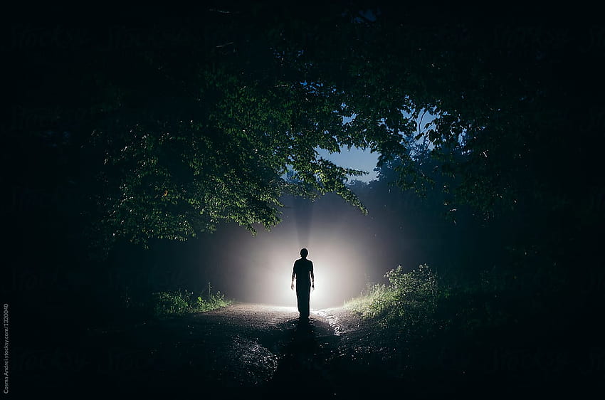 Mysterious man in forest at night by Cosma Andrei - Mysterious, Night ...