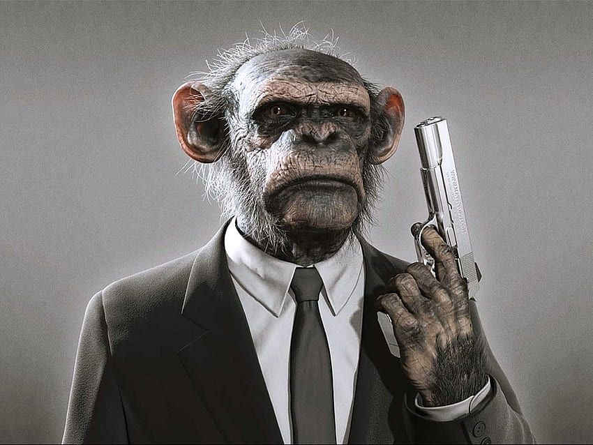 funny Monkeys Pistols Necktie Suit HD wallpaper