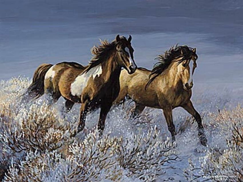 Tiere: Schwarze Wildpferde, schöne Pferde, die wild laufen HD-Hintergrundbild