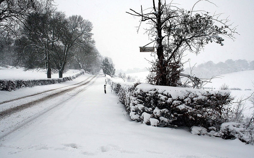 Inverno, natura, neve, strada, parco, recinzione, siepe Sfondo HD