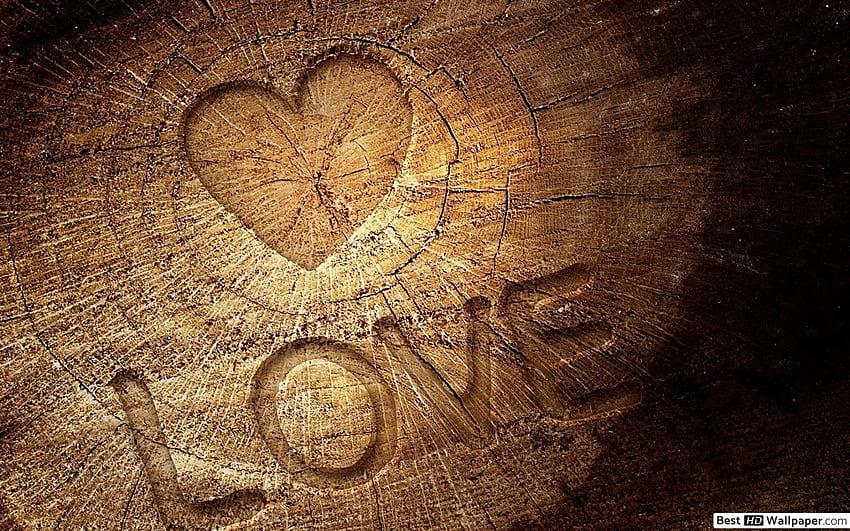 バレンタインデー - 木に刻まれた愛の心、木の心 高画質の壁紙
