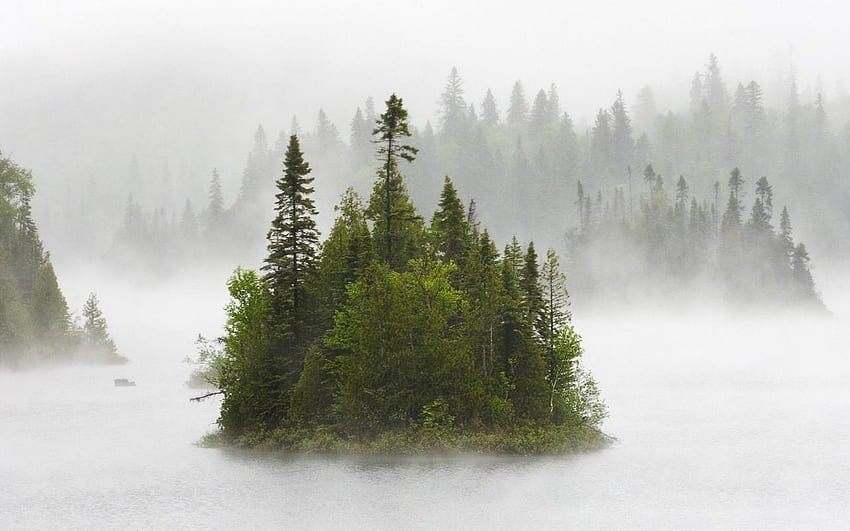 Остров в мъглата, мъгла, остров, сутрин, езеро HD тапет