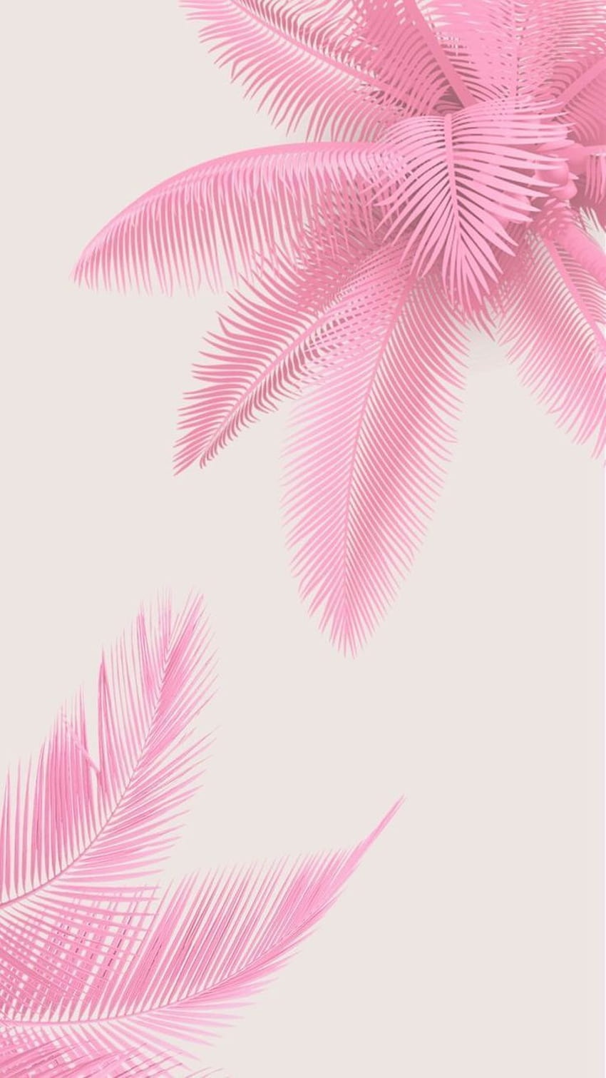 Tropical . summer . iPhone lock screen . Roze achtergronden, Achtergrond iphone, achtergronden, Pink Tropical HD phone wallpaper