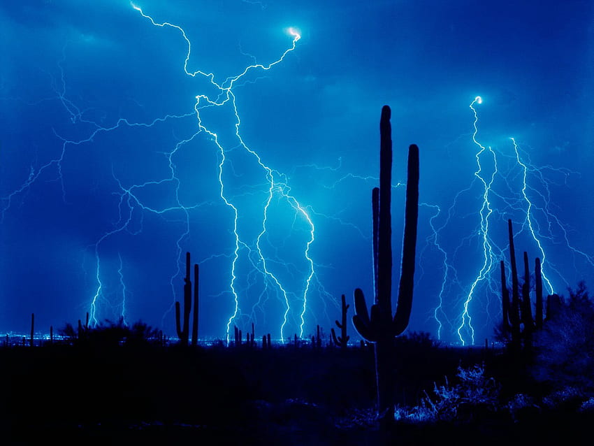 Nature, Cactuses, Sky, Lightning, Desert, Element, Outlines, Storm, Thunderstorm HD wallpaper