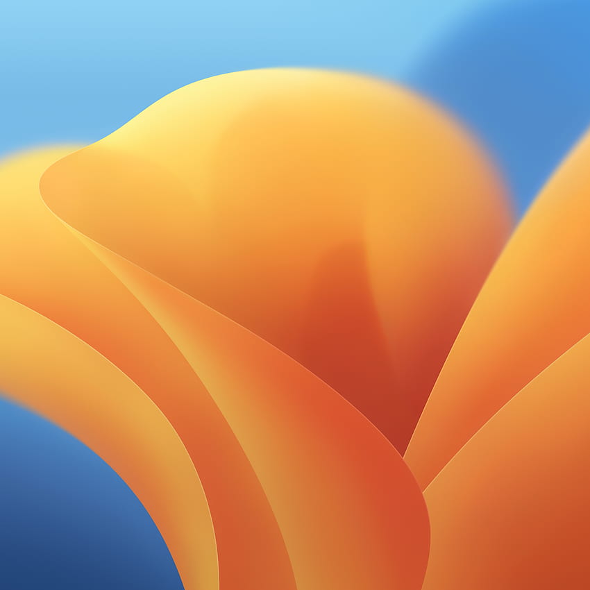 Every Default macOS Wallpaper – in Glorious 6K Resolution – 512 Pixels